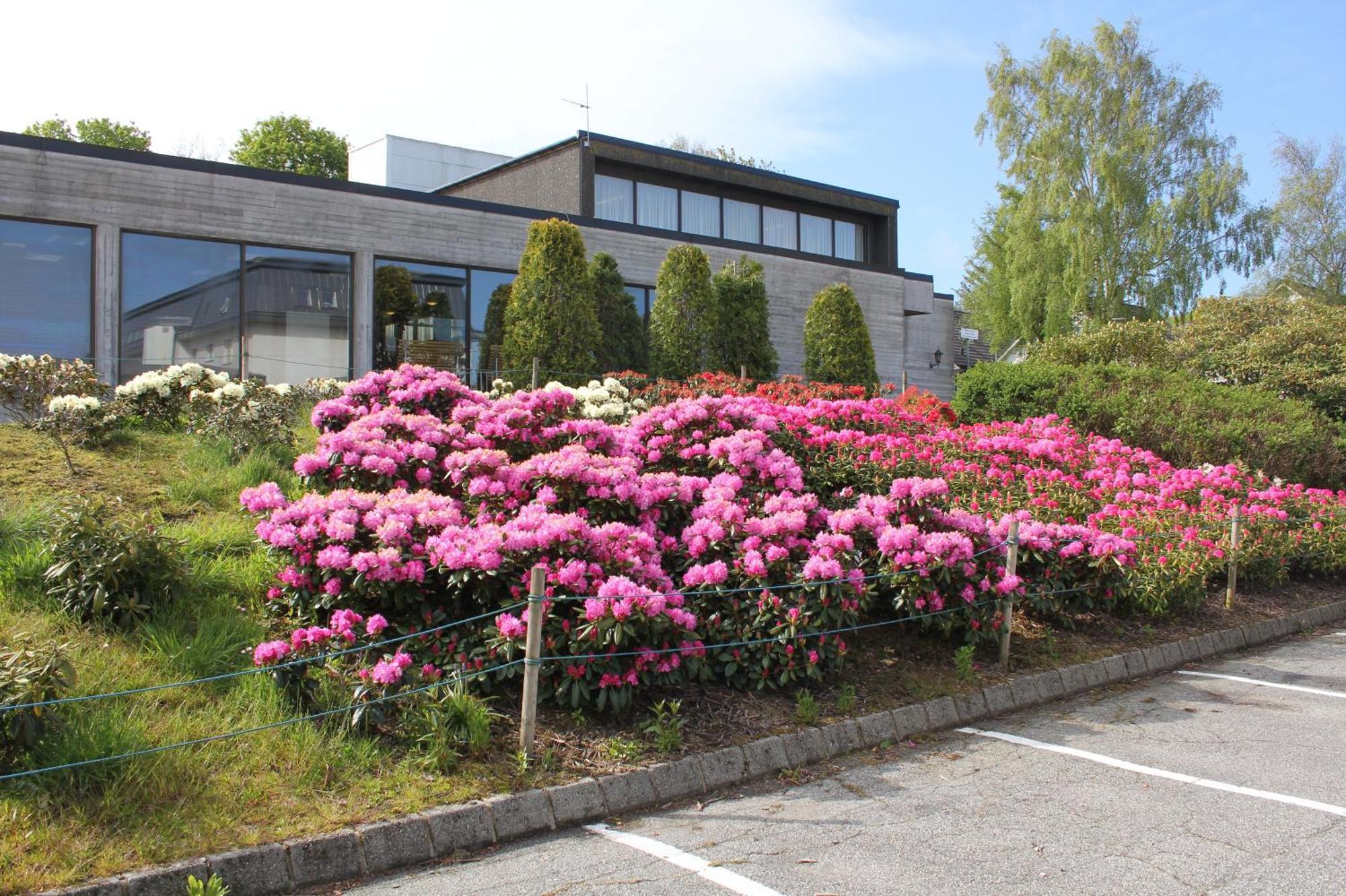 Hostel Solborg Folkehogskole